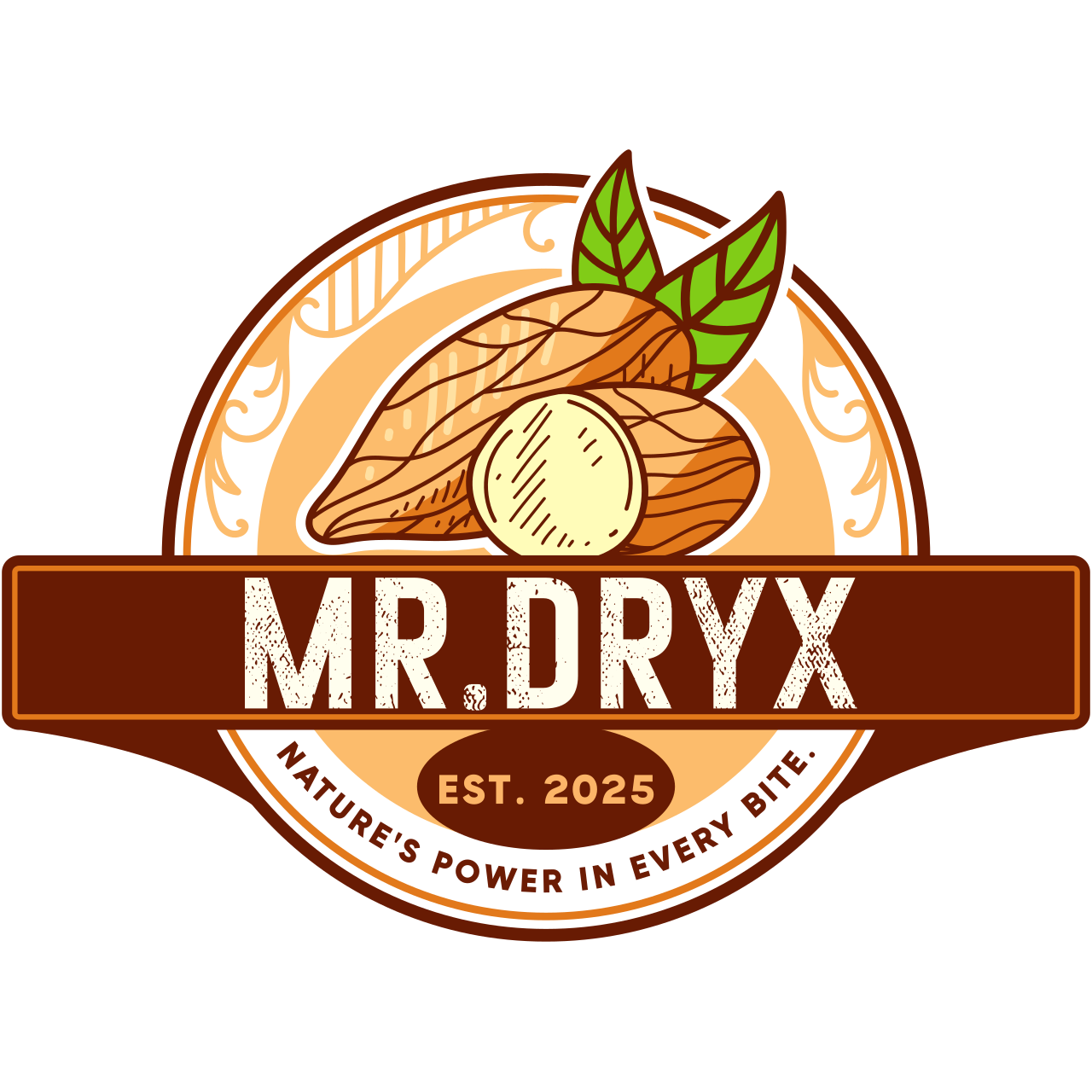 MR.DRYX